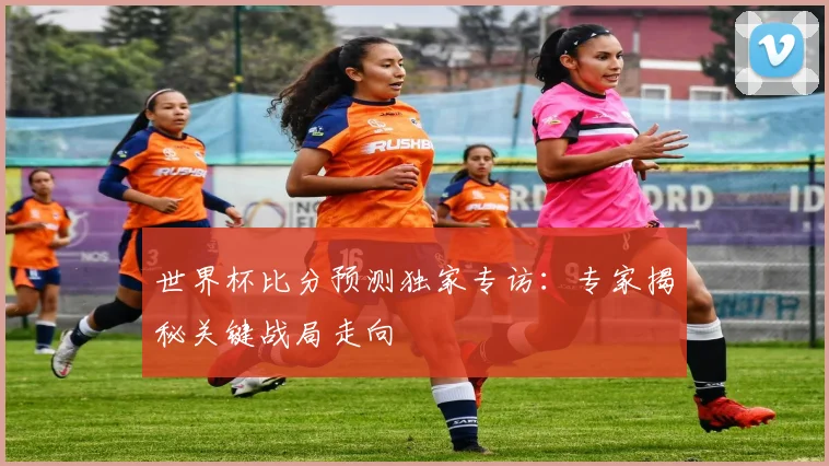世界杯比分预测独家专访：专家揭秘关键战局走向