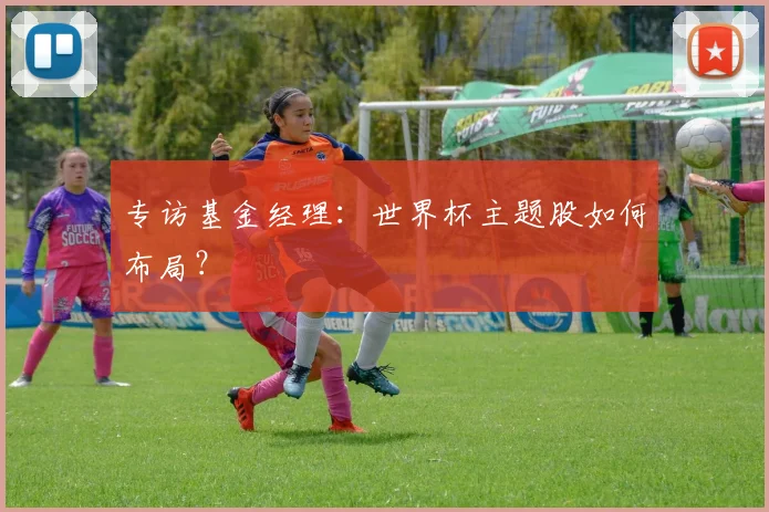 专访基金经理:世界杯主题股如何布局?