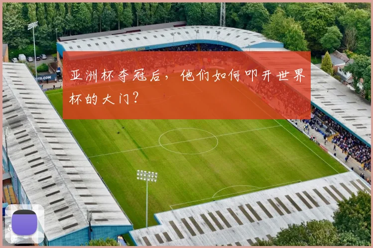 亚洲杯夺冠后，他们如何叩开世界杯的大门？