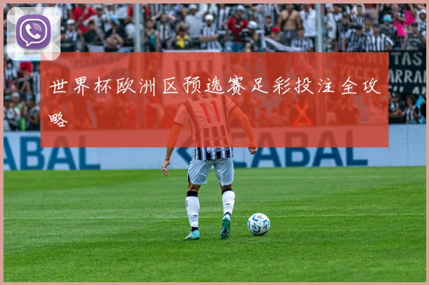 世界杯欧洲区预选赛足彩投注全攻略