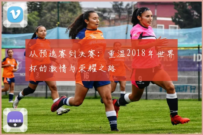 从预选赛到决赛：重温2018年世界杯的激情与荣耀之路