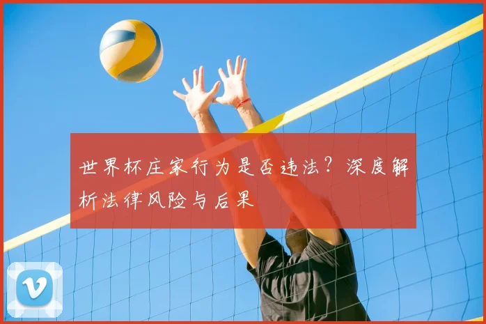 世界杯庄家行为是否违法?深度解析法律风险与后果