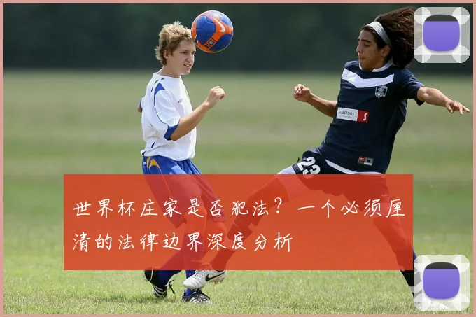 世界杯庄家是否犯法？一个必须厘清的法律边界深度分析