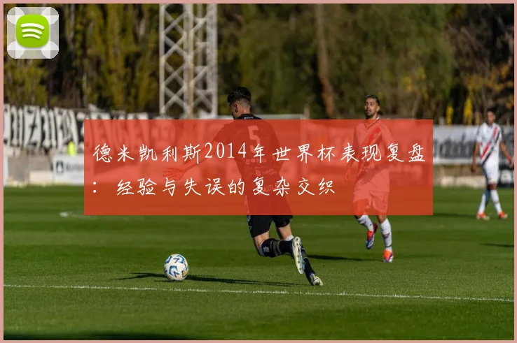 德米凯利斯2014年世界杯表现复盘：经验与失误的复杂交织