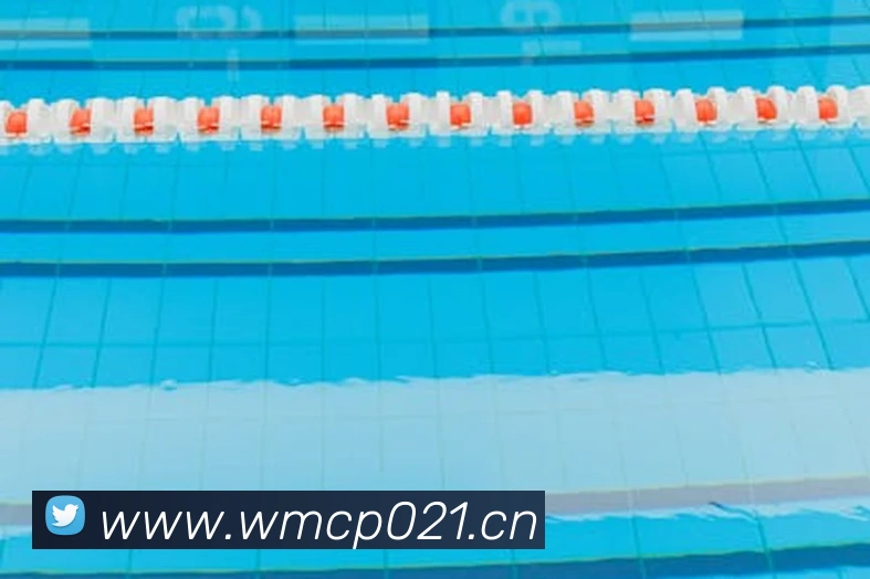 爱游戏ayx平台入口APP 封面图